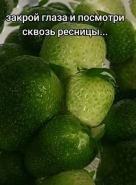 Мем, Ashmedai Мем, Ashmedai