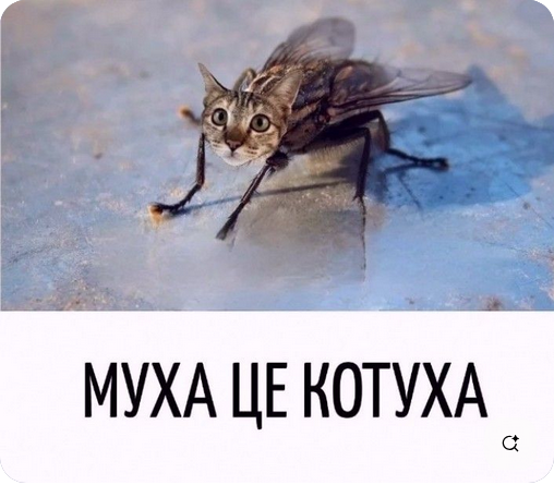 Мем, Алибабаевич