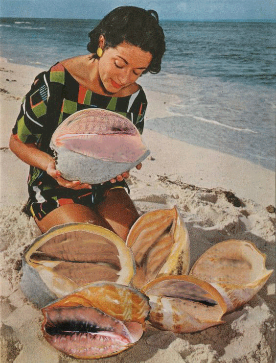 Мем, михельсон