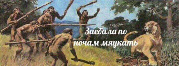 Мем, Кот Отморозкин