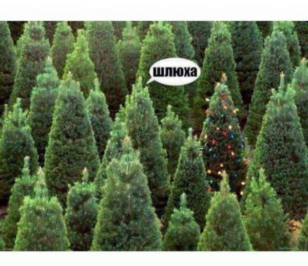 Мем, Смехалка