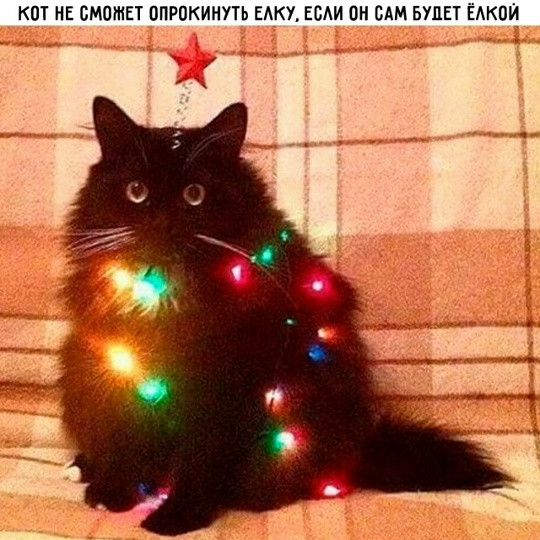 Мем, Смехалка Мем, Смехалка