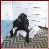 Мем: Ах ты!.. "бабий сын"!, Серж Скоров