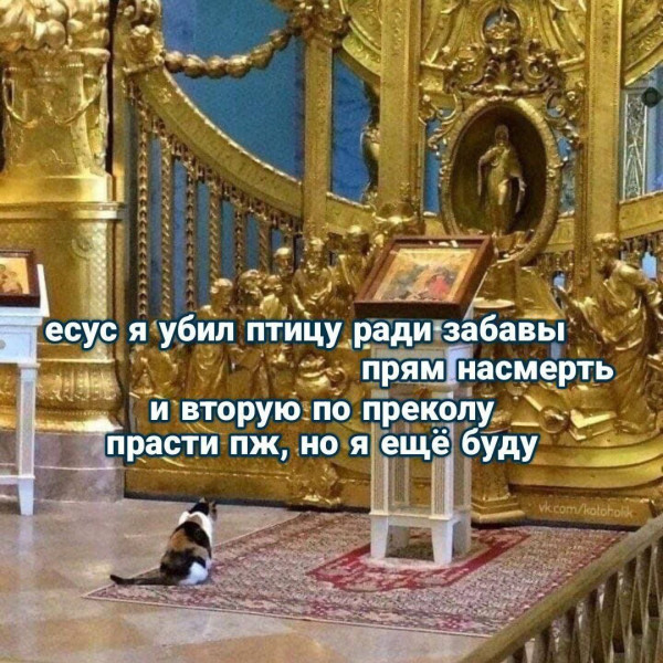 Мем, Максим Камерер