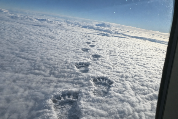 Мем: А говорят, его нет!, flieger1961