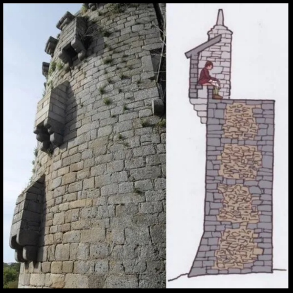 Мем, михельсон