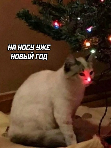 Мем, Смехалка