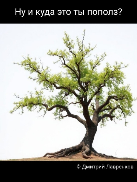 Мем, Дмитрий Лавренков