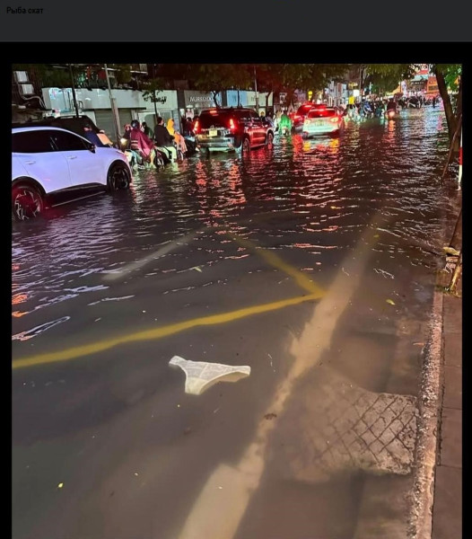 Мем, Ingrid Lovera