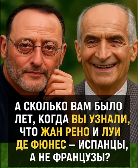 Мем, immar Мем, immar