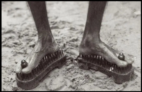 Мем, михельсон