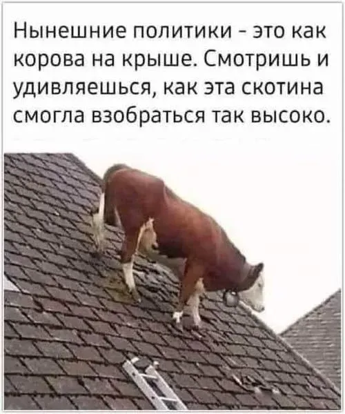 Мем, Смехалка Мем, Смехалка