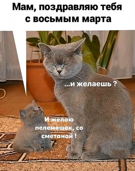 Мем, immar Мем, immar