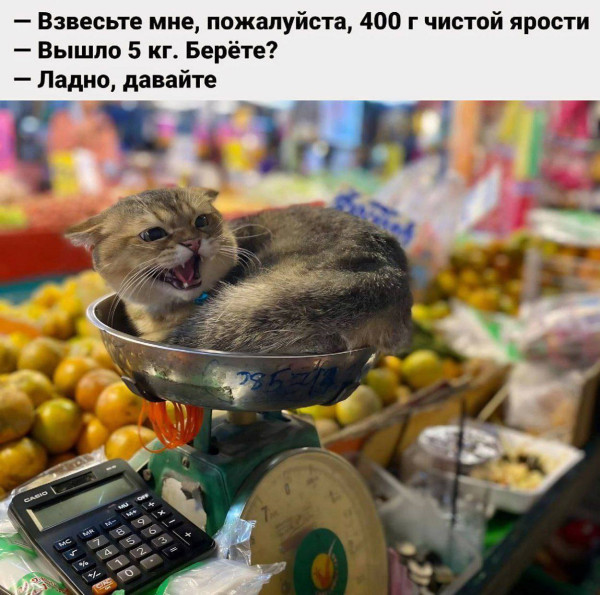 Мем, henh Мем, henh