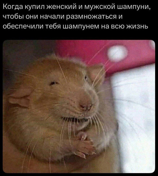 Мем, henh Мем, henh