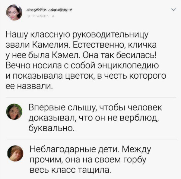 Мем, Максим Камерер