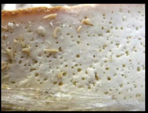 Мем, михельсон