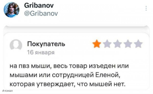 Мем: Смешные высказывания, iteam