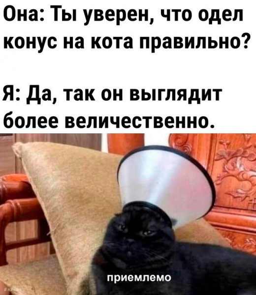 Мем: Мем дня, iteam