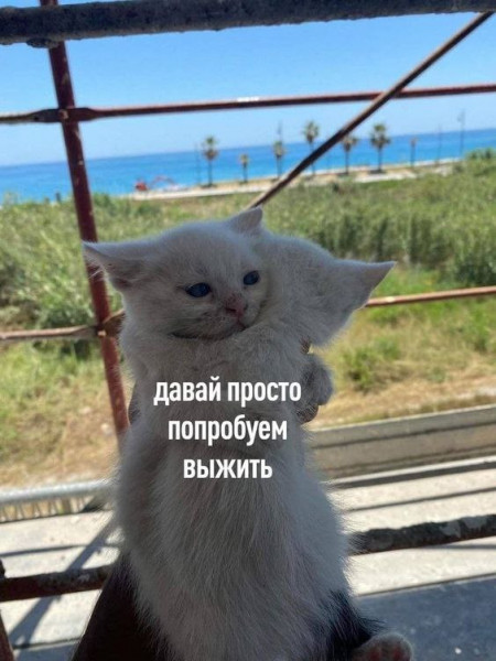 Мем, Леонид Хлыновский