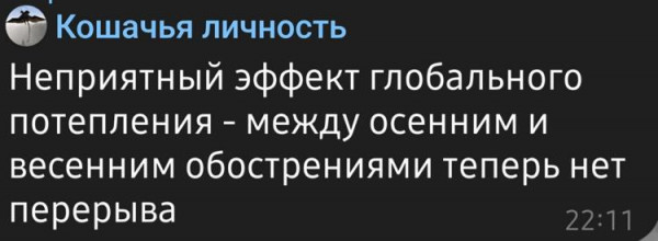 Мем, Mghost