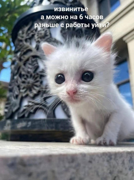 Мем, Леонид Хлыновский