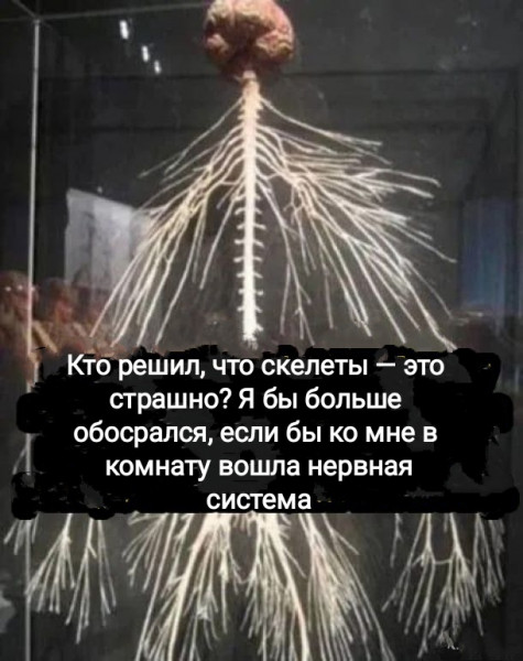 Мем, Рысь