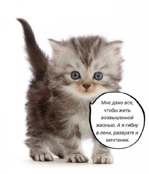 Мем, Леонид Хлыновский
