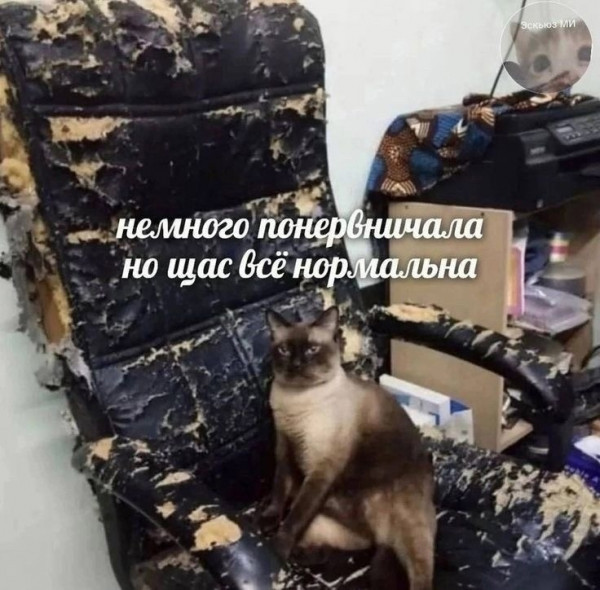 Мем, Леонид Хлыновский