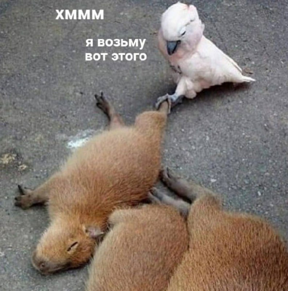 Мем, Леонид Хлыновский