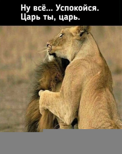 Мем, Kuzyma