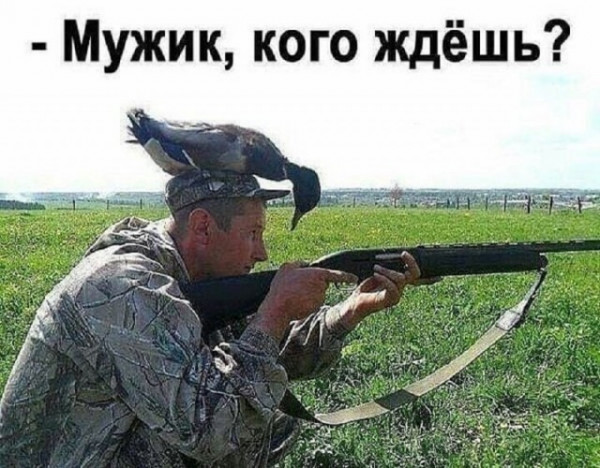 Мем: Юмор для настроения, iteam