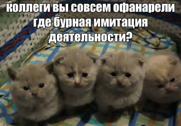 Мем, Леонид Хлыновский