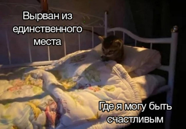 Мем, Леонид Хлыновский