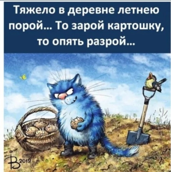 Мем, Mghost