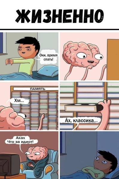 Мем: Правда жизни, iteam