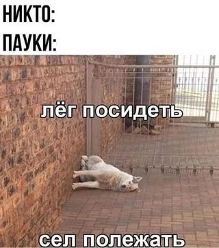 Мем: Юморок, iteam