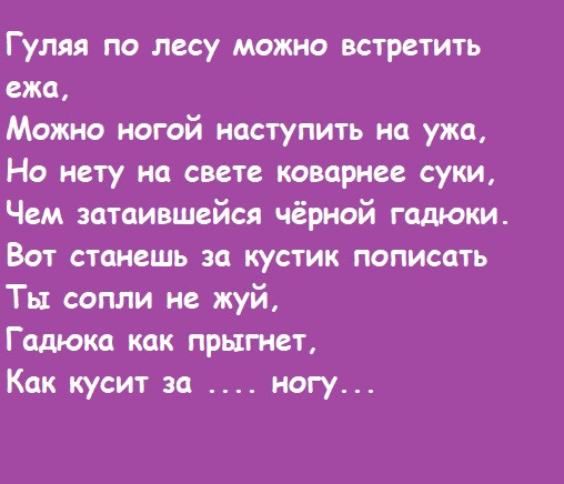 Мем, Лис Интересный