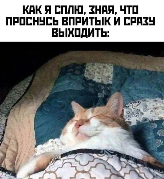 Мем, Леонид Хлыновский