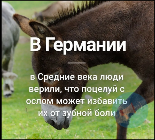 Мем