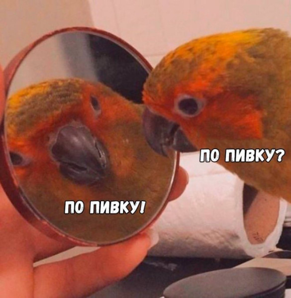 Мем: По пивку!, iteam