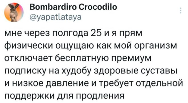 Мем: Юмор, iteam