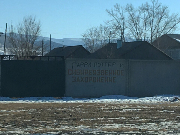 Мем, Кот Отморозкин