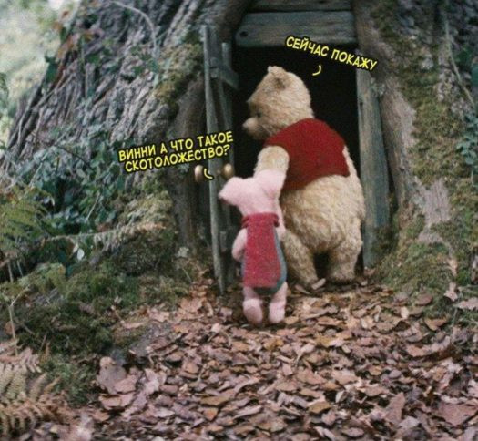 Мем, Кот Отморозкин