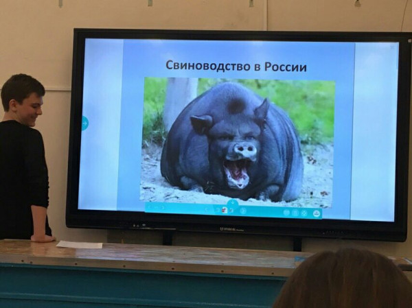 Мем, Кот Отморозкин