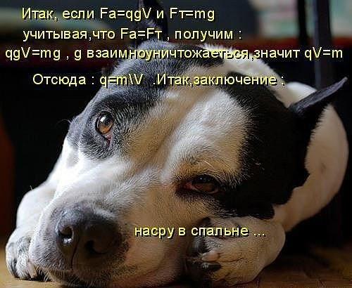 Мем, Кот Отморозкин