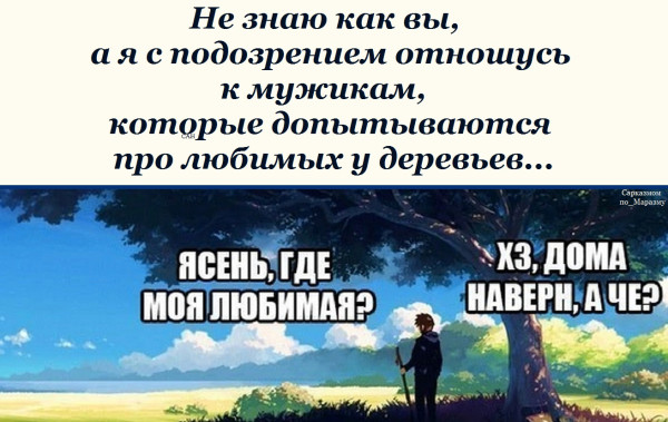 Мем, Александр САН