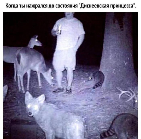 Мем, Jonas