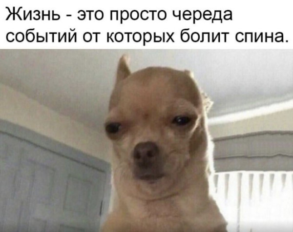 Мем: Юмор на день, iteam