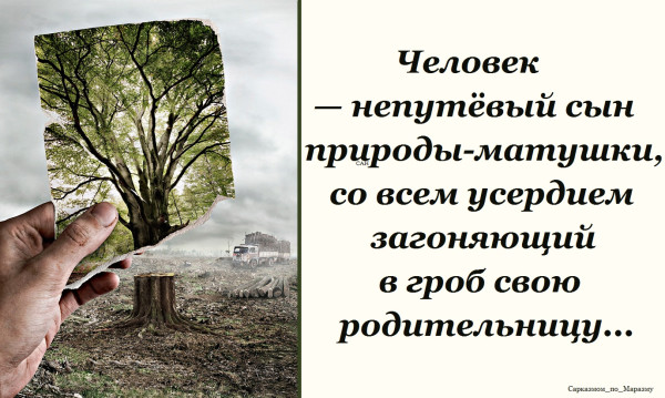 Мем, Александр САН